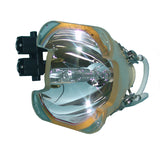 Optoma BL-FU250B Osram Projector Bare Lamp