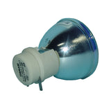 Infocus SP-LAMP-067 Osram Projector Bare Lamp