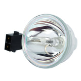 Sharp AN-XR30LP/1 Phoenix Projector Bare Lamp