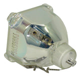 Liesegang ZU0283-04-4010 Philips Projector Bare Lamp