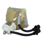 Liesegang ZU0288-04-4010 Ushio Projector Bare Lamp