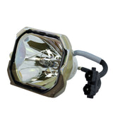 Liesegang ZU0286-04-4010 Ushio Projector Bare Lamp