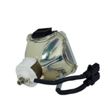 Liesegang ZU0296-04-4010 Ushio Projector Bare Lamp