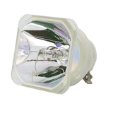 Eiki 23040021 Ushio Projector Bare Lamp