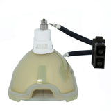 Runco RUPA-004910 Ushio Projector Bare Lamp