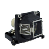 Acer EC.J0300.001 Philips Projector Lamp Module