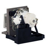 Viewsonic RLC-023 Ushio Projector Lamp Module