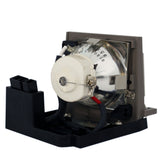 Viewsonic RLC-023 Ushio Projector Lamp Module