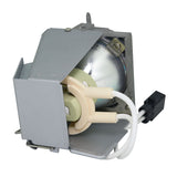 Optoma BL-FU195B Philips Projector Lamp Module