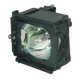 Samsung BP63-00670A TV Lamp Module